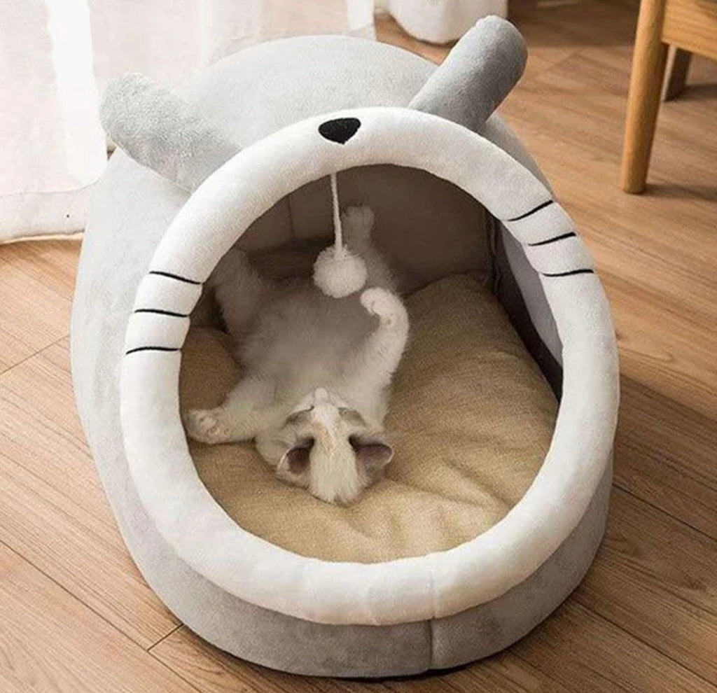 Cat Bed